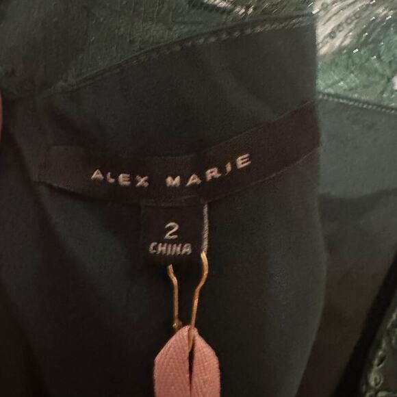 Alex Marie Eloise Embroidered A-Line Dress Fern Green Size 2 NEW - Picture 4 of 5